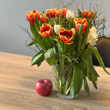 Apartmán Hegau Boardinghouse Singen Exteriér fotografie